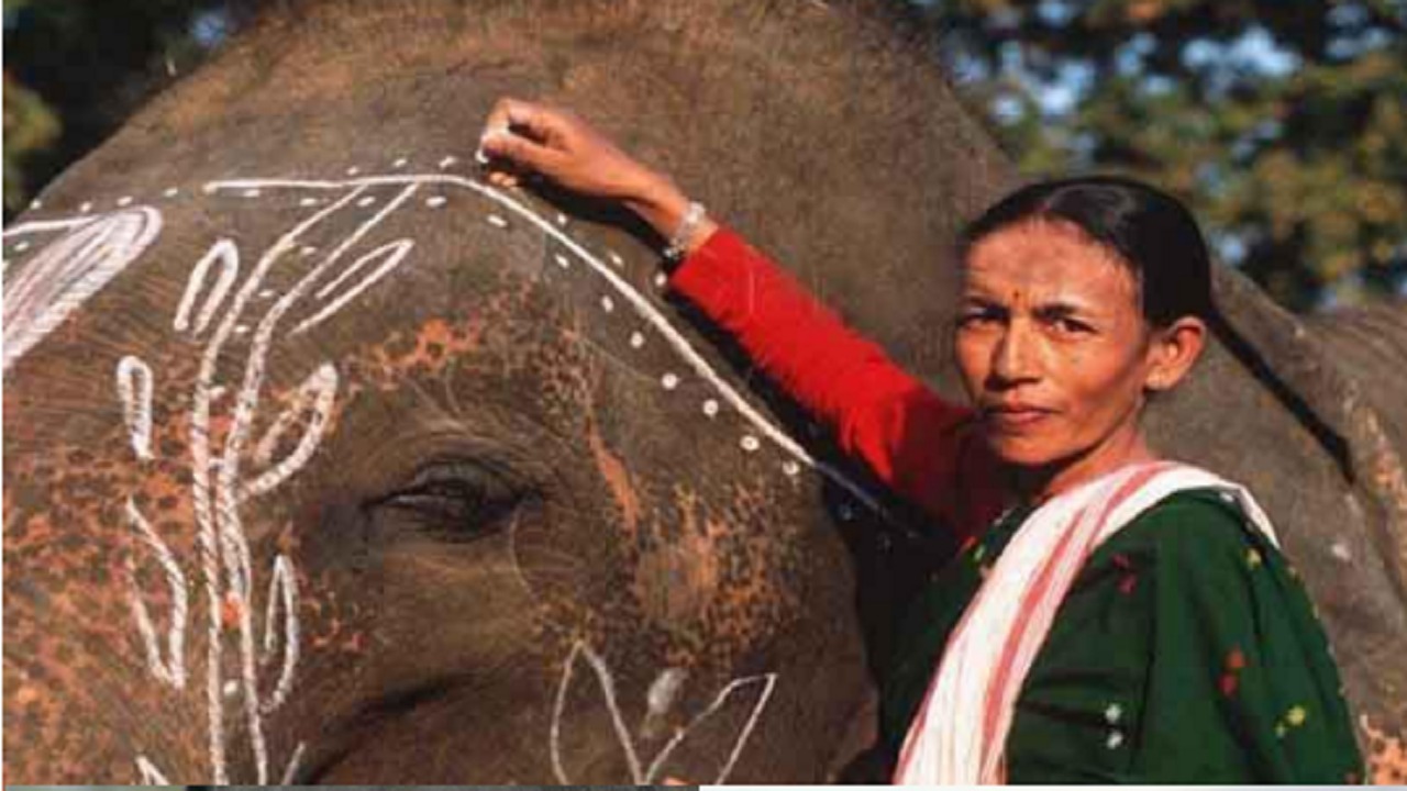 Padmshree: गुमनाम नायकों को सलाम, जानिए कौन हैं वे 34 लोग जिन्हें मिला पद्मश्री