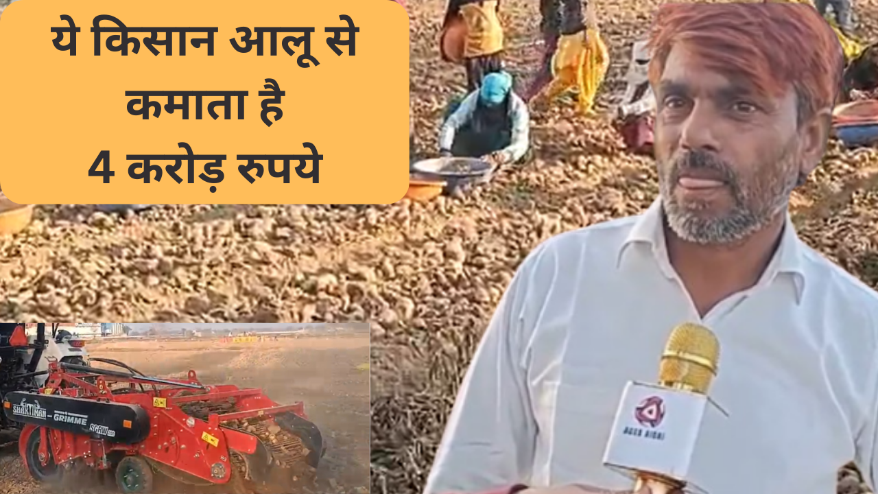ये किसान आलू से कमाता है 2-4 करोड़, जानें कैसे बना मिसाल